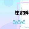 崔家畔村（關于崔家畔村簡介）