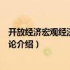 開放經(jīng)濟宏觀經(jīng)濟政策導論（關于開放經(jīng)濟宏觀經(jīng)濟政策導論介紹）