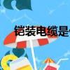 鎧裝電纜是什么意思（鎧裝電纜的解釋）