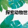 探索動物世界（關于探索動物世界簡介）