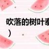 吹落的樹葉泰劇主要講什么（吹落的樹葉簡介）