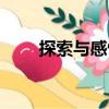 探索與感悟（關于探索與感悟簡介）