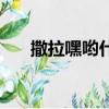 撒拉嘿喲什么意思（有人對(duì)你說(shuō)過(guò)嗎）