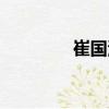崔國清（關于崔國清簡介）