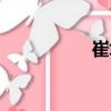 崔垛（關(guān)于崔垛簡(jiǎn)介）
