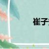 崔子安（關(guān)于崔子安簡(jiǎn)介）
