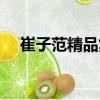 崔子范精品集（關(guān)于崔子范精品集簡(jiǎn)介）