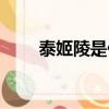 泰姬陵是什么意思（泰姬陵的介紹）