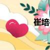 崔培德（關(guān)于崔培德簡(jiǎn)介）