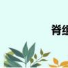 脊組詞（脊組詞有哪些）