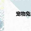 寵物兔好養(yǎng)嗎（兔子分為幾類）
