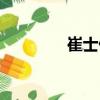 崔士偉（關(guān)于崔士偉簡介）