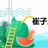 崔子恩（關(guān)于崔子恩簡(jiǎn)介）