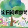 定日崗嘎豪菊石（關(guān)于定日崗嘎豪菊石介紹）