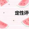 定性評估（關于定性評估介紹）