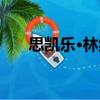 思凱樂·林納（關(guān)于思凱樂·林納介紹）
