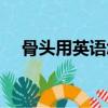 骨頭用英語(yǔ)怎么說(shuō)（怎么說(shuō)骨頭用英語(yǔ)）