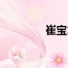 崔寶才（關(guān)于崔寶才簡(jiǎn)介）