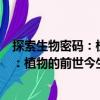 探索生物密碼：植物的前世今生與未來(lái)（關(guān)于探索生物密碼：植物的前世今生與未來(lái)簡(jiǎn)介）
