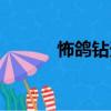 怖鴿鉆天（關(guān)于怖鴿鉆天介紹）