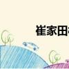 崔家田村（關于崔家田村簡介）