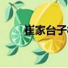 崔家臺子村（關于崔家臺子村簡介）