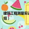 建筑工程測量實訓(xùn)指導(dǎo)書（關(guān)于建筑工程測量實訓(xùn)指導(dǎo)書介紹）