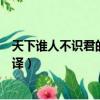 天下誰(shuí)人不識(shí)君的上一句是什么（天下誰(shuí)人不識(shí)君原文及翻譯）