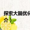探索大腦優(yōu)化人生（關(guān)于探索大腦優(yōu)化人生簡介）