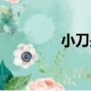 小刀是什么梗（小刀解釋）