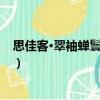 思佳客·翠袖蟬鬟碧玉簪（關(guān)于思佳客·翠袖蟬鬟碧玉簪介紹）