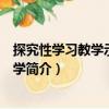 探究性學(xué)習(xí)教學(xué)示例：化學(xué)（關(guān)于探究性學(xué)習(xí)教學(xué)示例：化學(xué)簡(jiǎn)介）