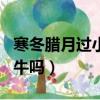 寒冬臘月過小年是什么生肖（寒冬臘月是生肖牛嗎）