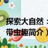 探索大自然：熱帶蟲趣（關(guān)于探索大自然：熱帶蟲趣簡介）