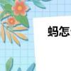 螞怎么組詞（螞如何組詞）