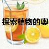 探索植物的奧秘（關(guān)于探索植物的奧秘簡介）