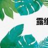 露組詞（露組詞有哪些）