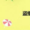盜組詞（盜組詞有哪些）