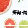 探詢·跨越（關(guān)于探詢·跨越簡介）