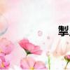 掣曳（關(guān)于掣曳簡(jiǎn)介）