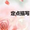 定點描寫法（關(guān)于定點描寫法介紹）