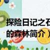 探險(xiǎn)日記之石化的森林（關(guān)于探險(xiǎn)日記之石化的森林簡(jiǎn)介）