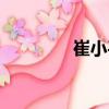 崔小平（關于崔小平簡介）