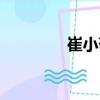 崔小敬（關(guān)于崔小敬簡(jiǎn)介）