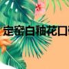 定窯白釉花口碗（關于定窯白釉花口碗介紹）