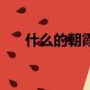 什么的朝霞填詞語（含有朝霞的句子）