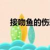 接吻魚的傷悲（關(guān)于接吻魚的傷悲簡介）