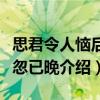思君令人惱后悔忽已晚（關(guān)于思君令人惱后悔忽已晚介紹）