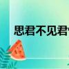 思君不見君悅（關(guān)于思君不見君悅介紹）