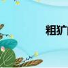 粗獷的拼音（粗獷的讀音）